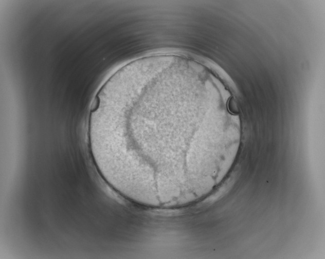 X0000111860860200908131458