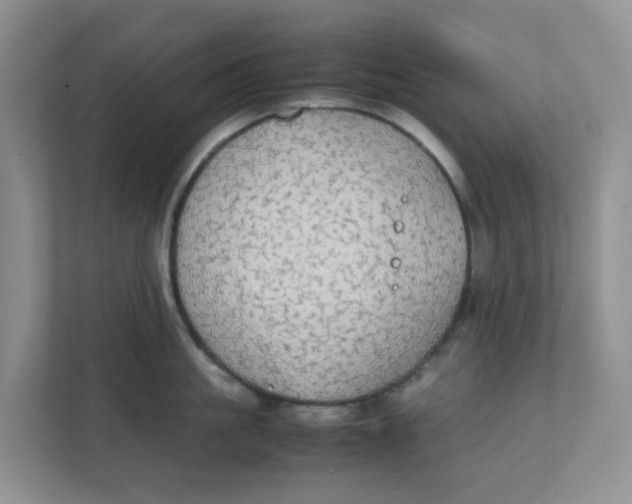 X0000111860861200908131458