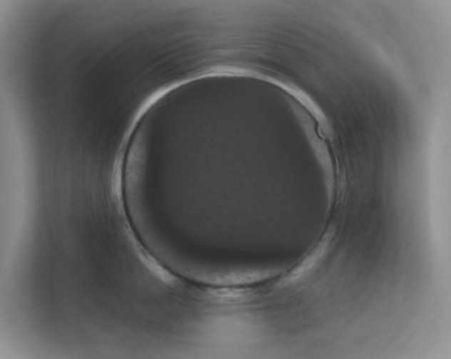 X0000111860862200908131458