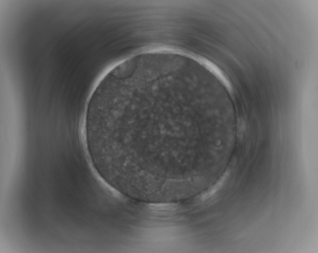 X0000111860863200908131458