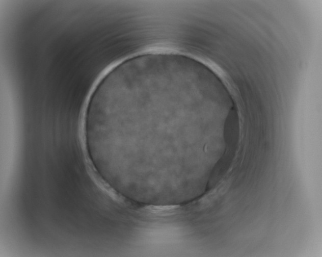 X0000111860864200908131458