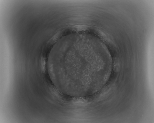 X0000111860866200908131457