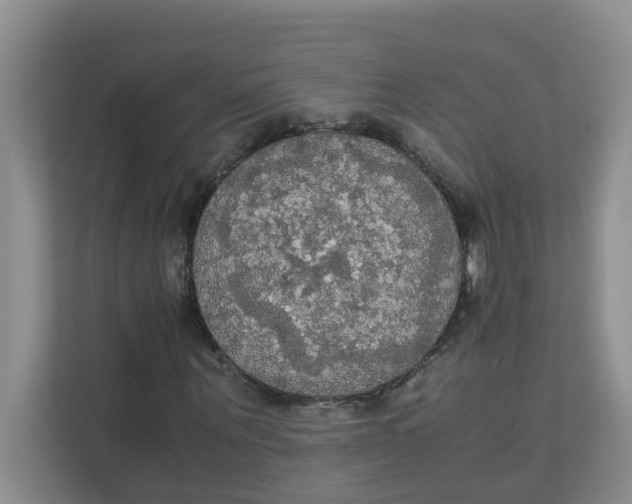 X0000111860867200908131457