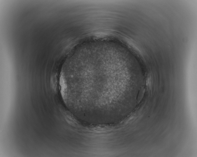 X0000111860868200908131457