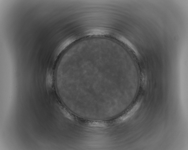 X0000111860874200908131457