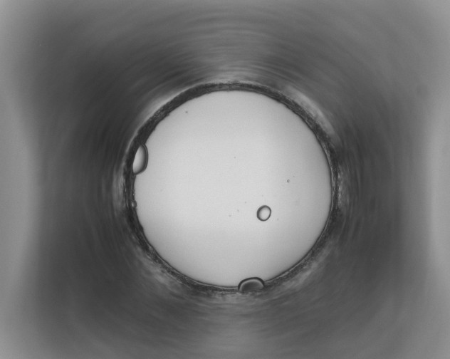 X0000111860876200908131457