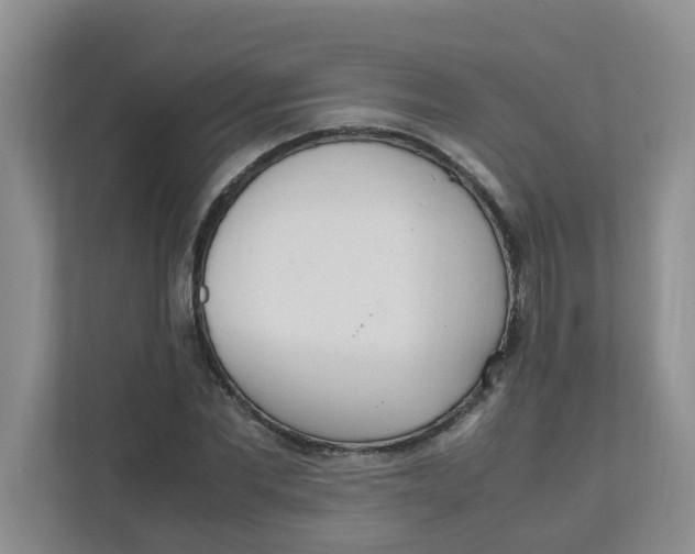 X0000111860877200908131457