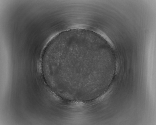 X0000111860878200908131457