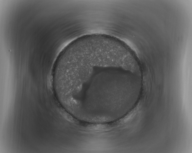 X0000111860879200908131457