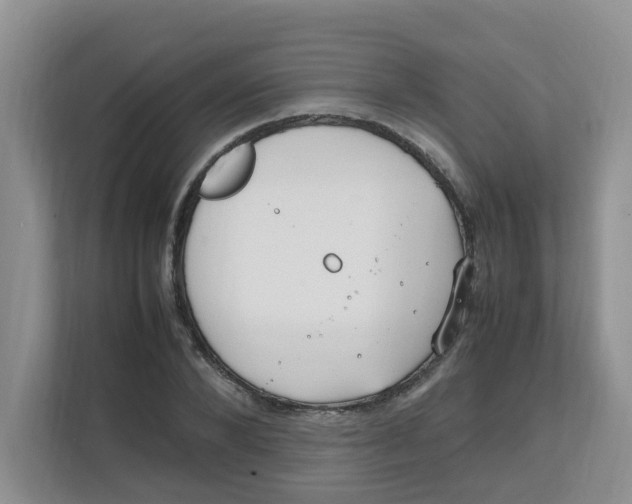 X0000111860880200908131457