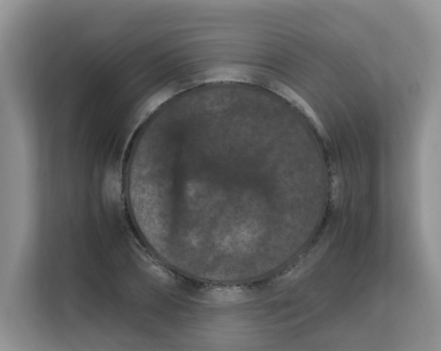 X0000111860882200908131457