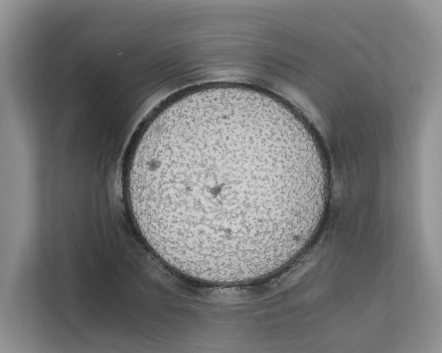 X0000111860883200908131457