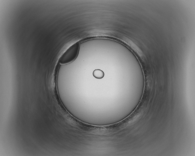 X0000111860885200908131457