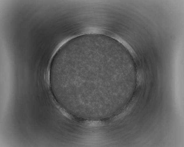 X0000111860886200908131457