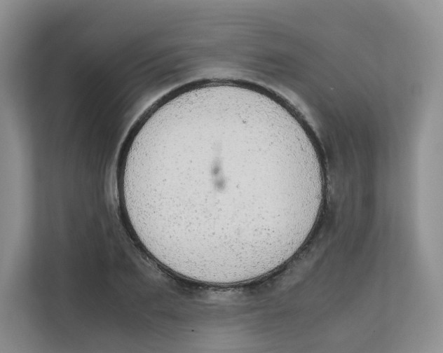 X0000111860887200908131457