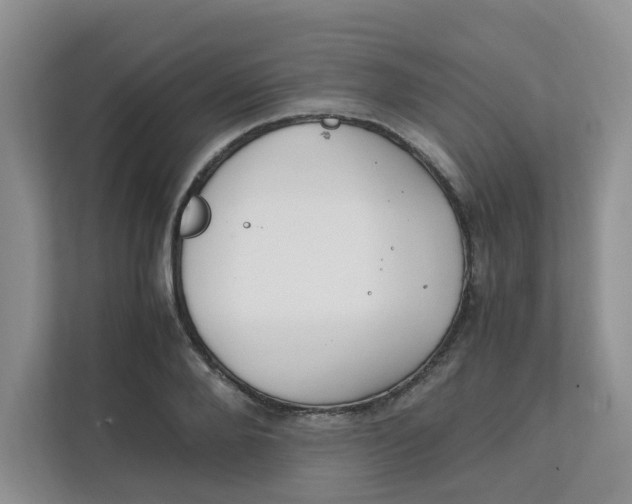 X0000111860888200908131457