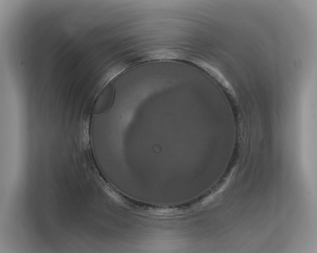 X0000111860889200908131457