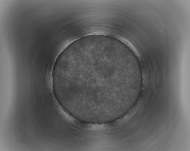 X0000111860890200908131457