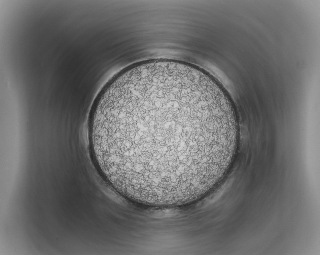 X0000111860891200908131457