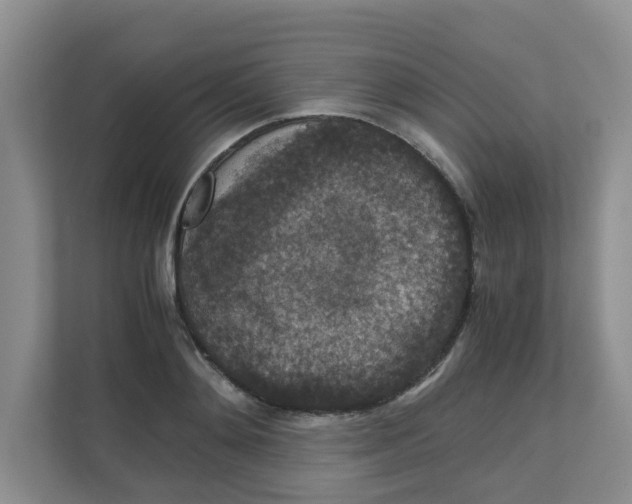 X0000111860892200908131457