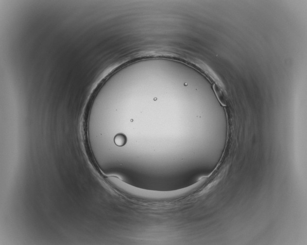 X0000111860893200908131457