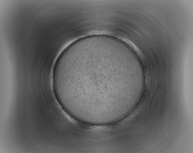 X0000111860894200908131457