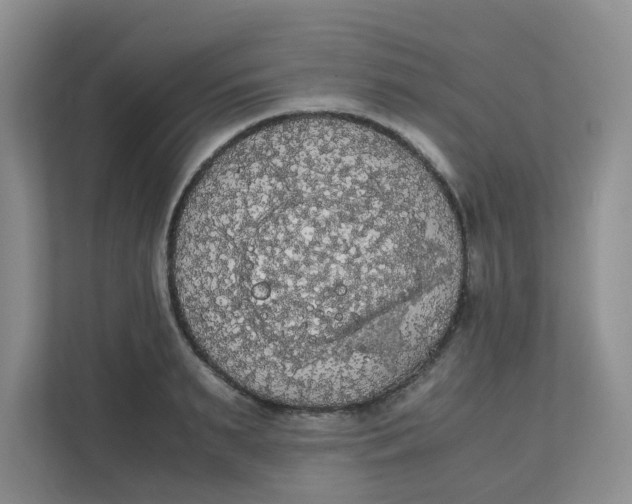 X0000111860895200908131457