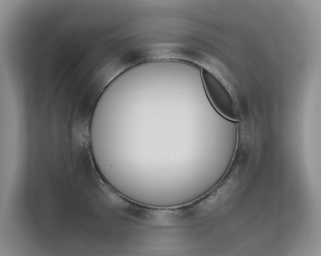 X0000111860897200908131457