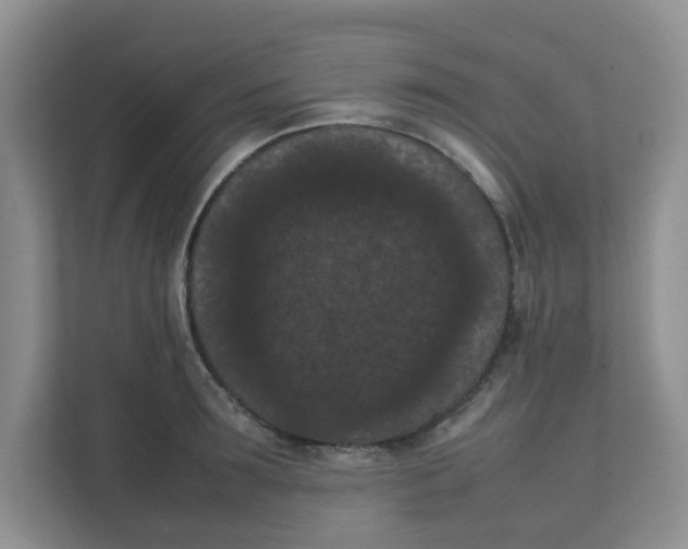 X0000111860899200908131457