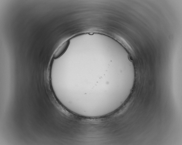 X0000111860900200908131457