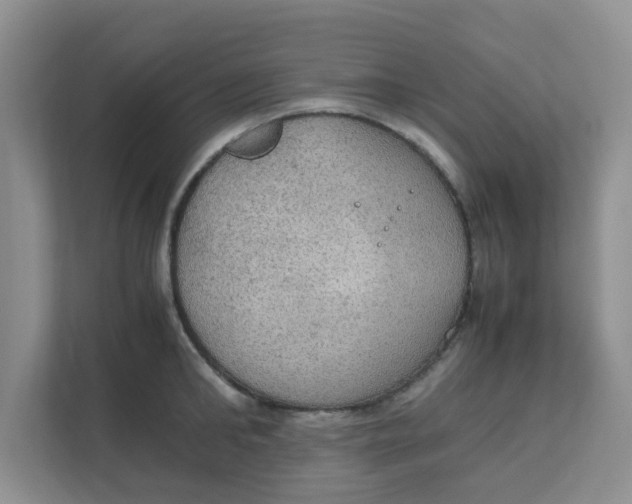 X0000111860902200908131457