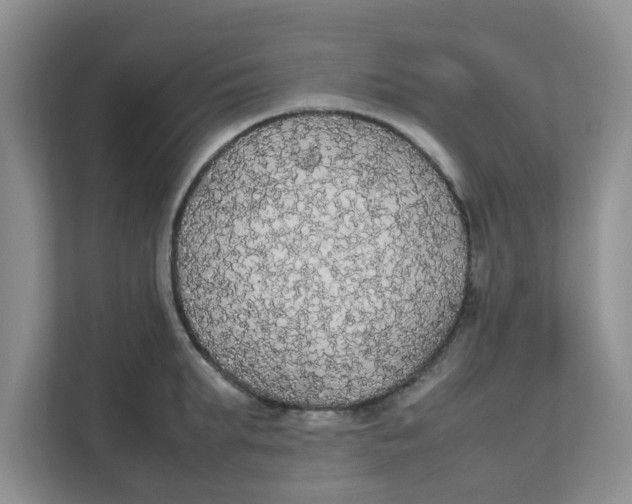 X0000111860903200908131457