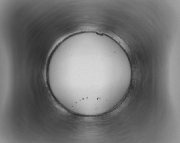 X0000111860904200908131457