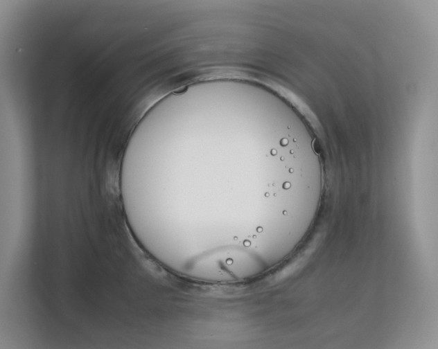 X0000111860905200908131457