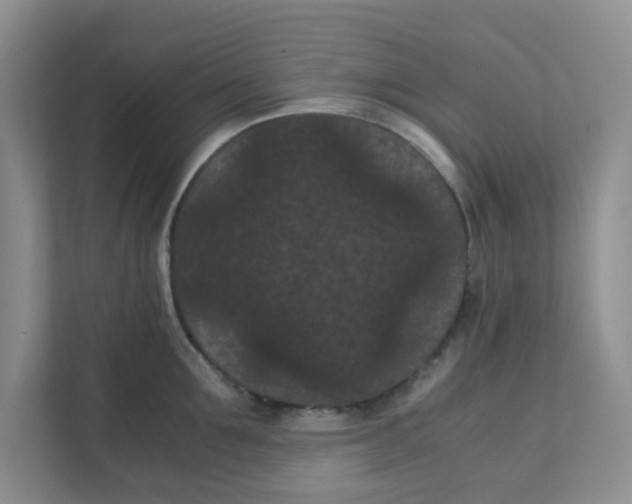 X0000111860907200908131457