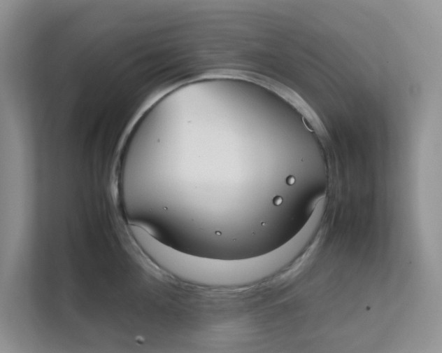 X0000111860908200908131457