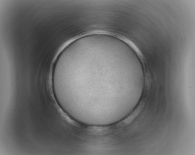 X0000111860910200908131456