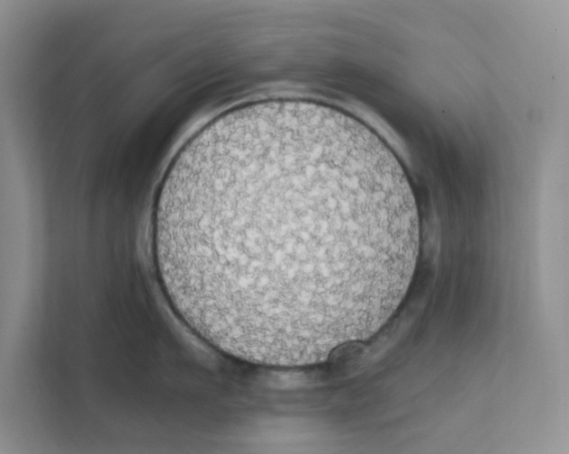 X0000111860911200908131456