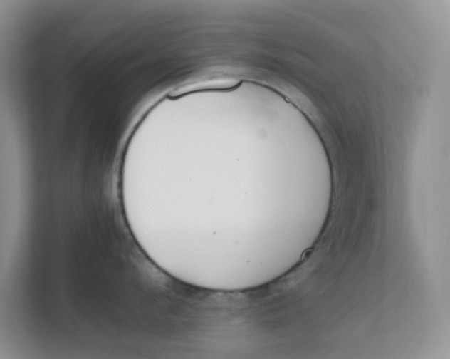 X0000111860912200908131456