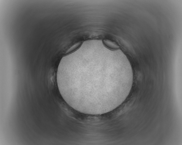 X0000111860914200908131456