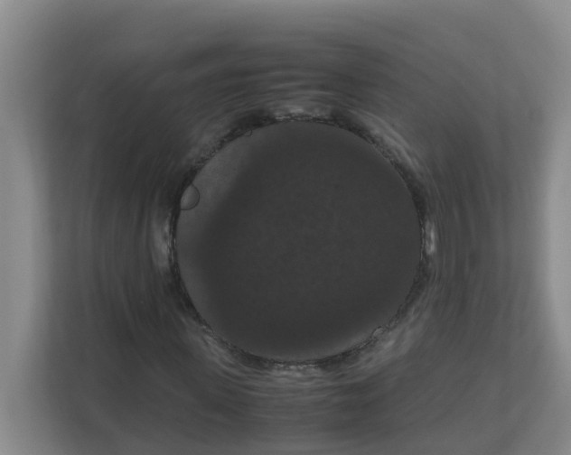 X0000111860915200908131456