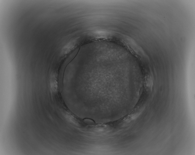 X0000111860916200908131456