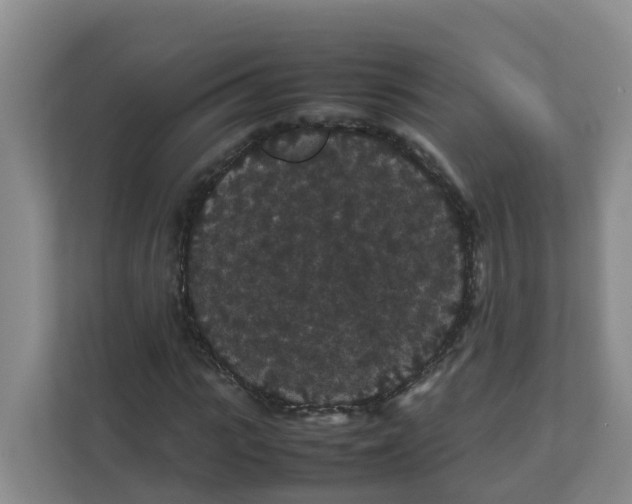 X0000111860919200908131456