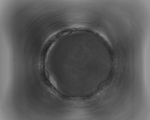 X0000111860920200908131456