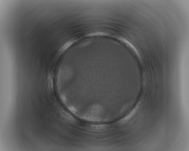 X0000111860921200908131456