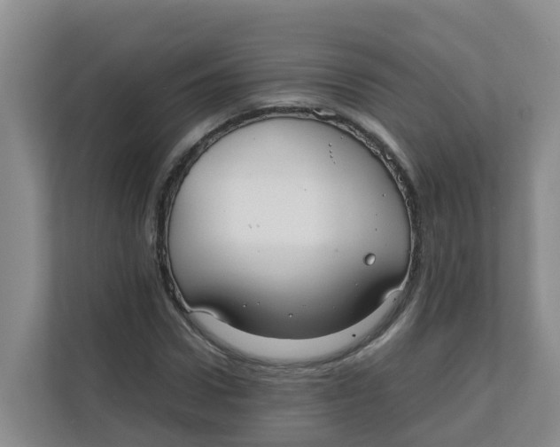 X0000111860922200908131456