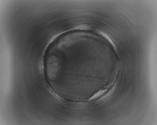 X0000111860923200908131456