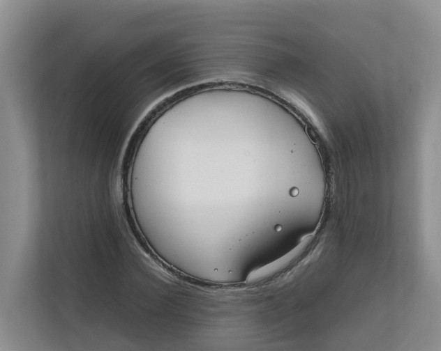 X0000111860924200908131456