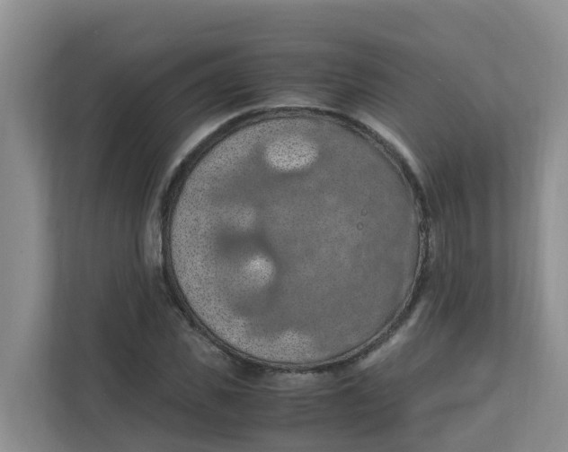 X0000111860925200908131456