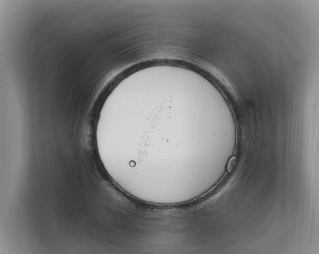 X0000111860926200908131456